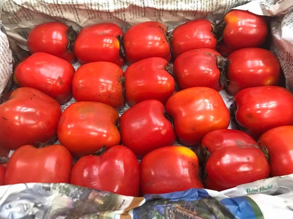 máy sấy hồng dẻo