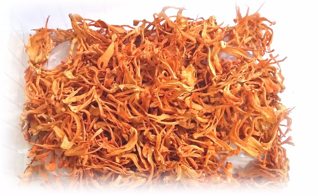 máy sấy hoa quả, thực phẩm dành cho gia đình