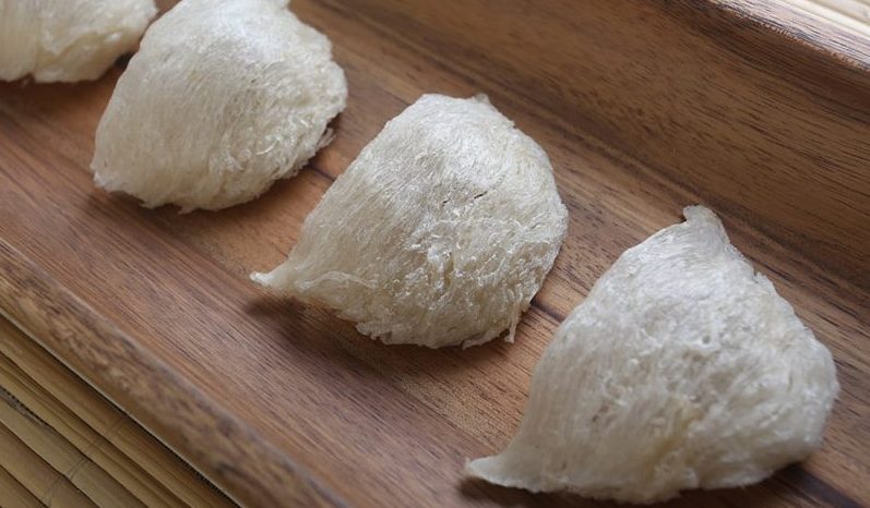 sấy khô tổ yến
