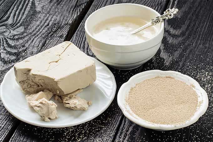 tổng hợp kiến thức về nguyên liệu bánh