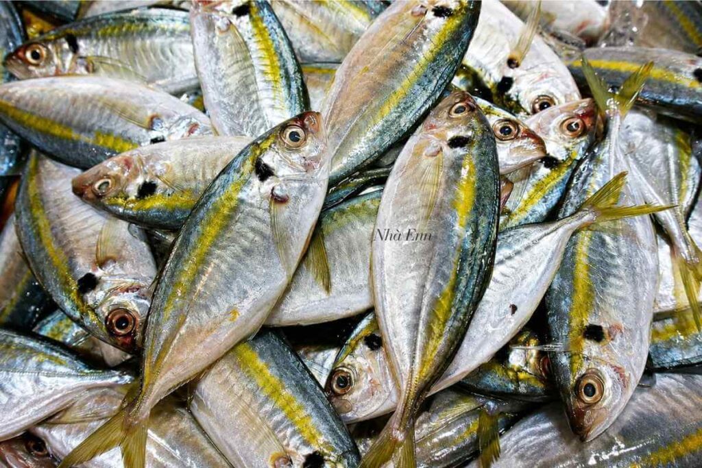Cá chỉ vàng sấy khô