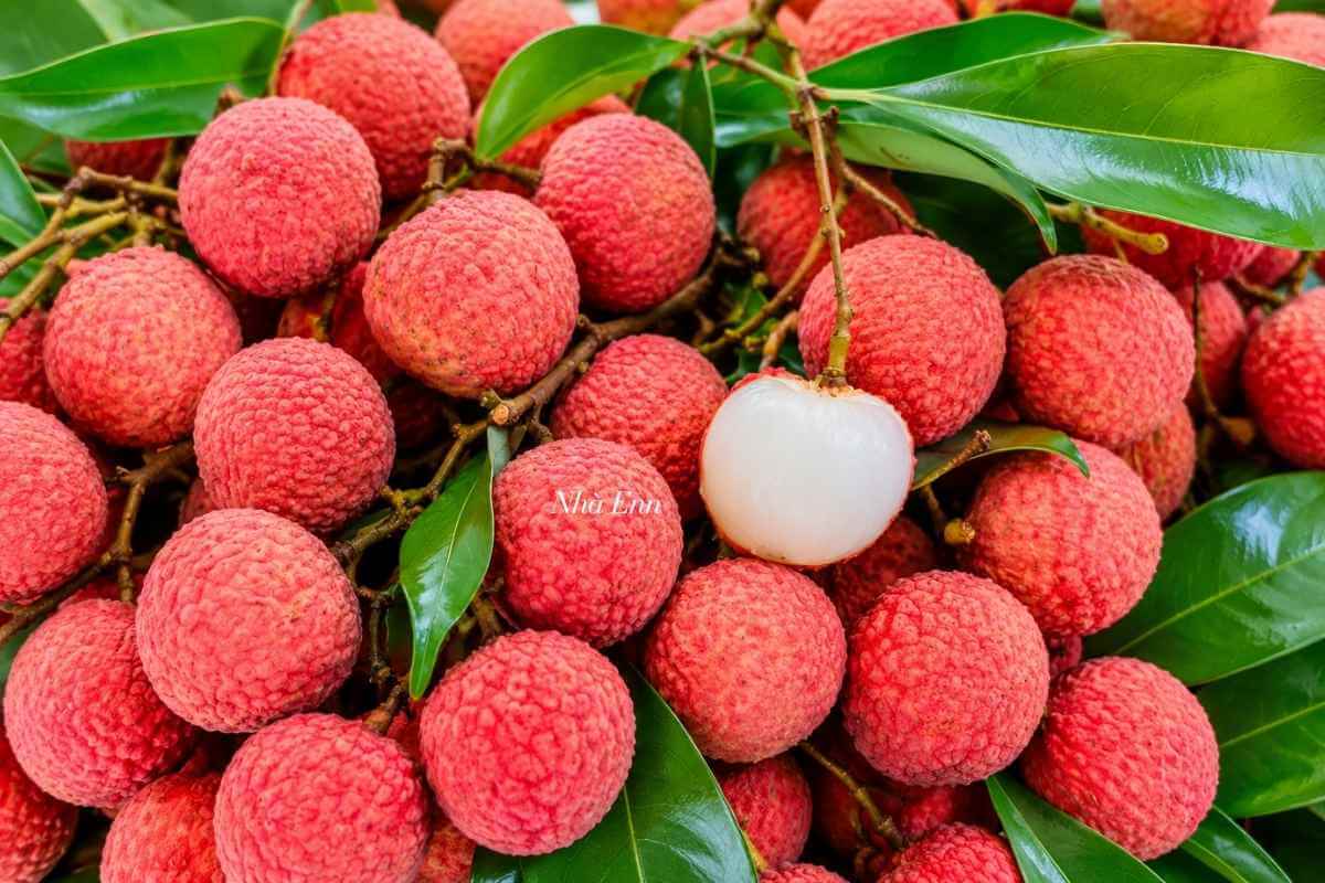 cách làm vải sấy khô
